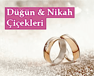 �i�ek