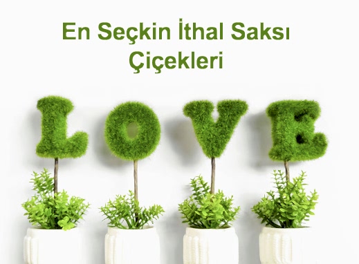 �i�ek banner