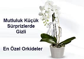 �i�ek