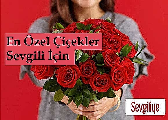 Do�um G�n�