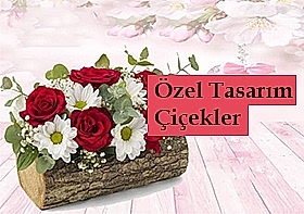 �zel Tasar�m �i�ekler