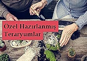 �zel Tasar�m �i�ekler